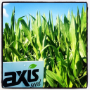 AXIS SEED DIRECT