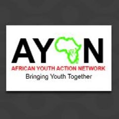 African Youth Action Network