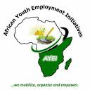 African Youth Employment Initiatives