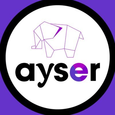 AYSER- DESARROLLOS INFORMÁTICOS