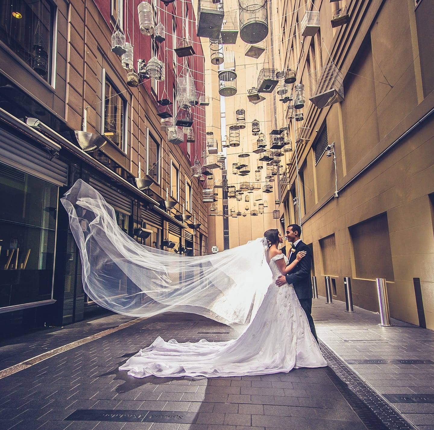 Azayda Photography   Weddings & Portraits