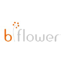 B Flower