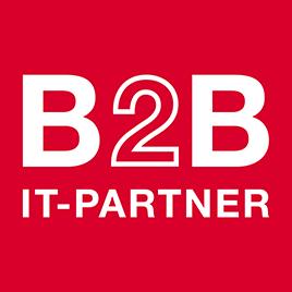 B2B IT-Partner