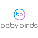 Baby Birds