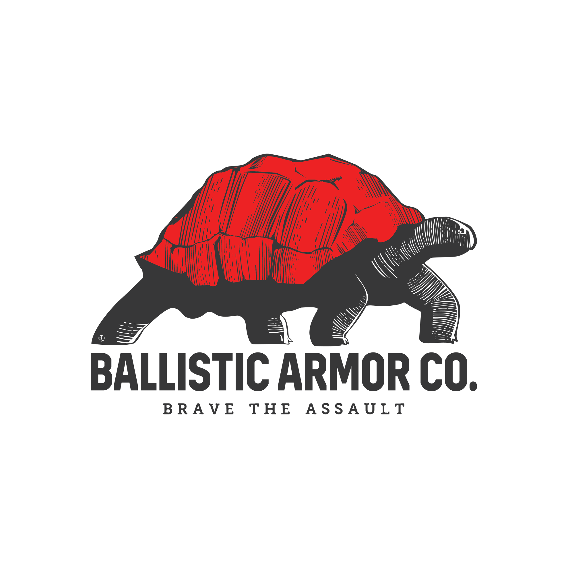 Ballistic Armor