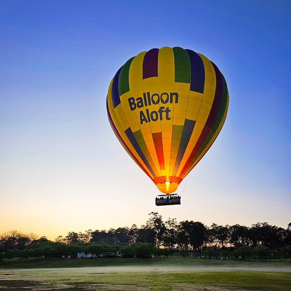 Balloons Aloft