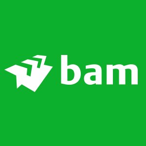 Bam Infra Nederland