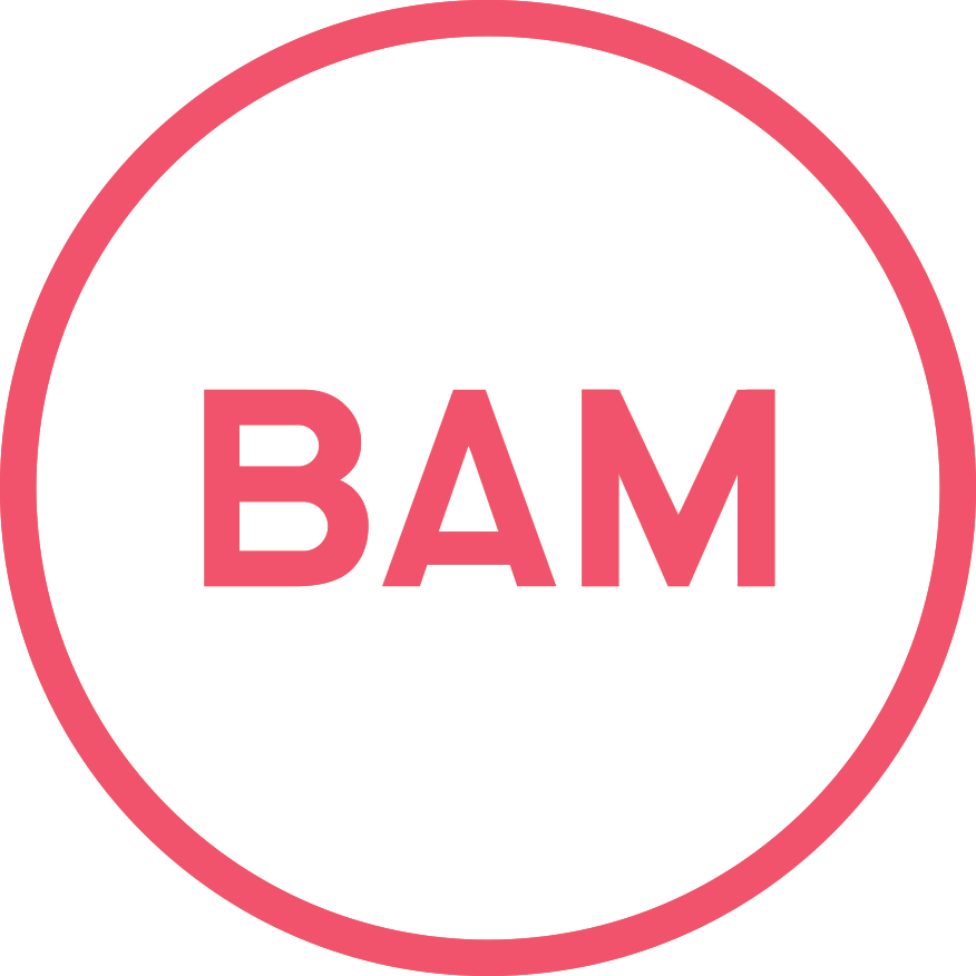 BAM Strategy