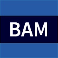 BAM Technologies