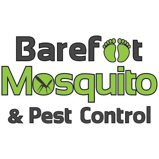 Barefoot Mosquito