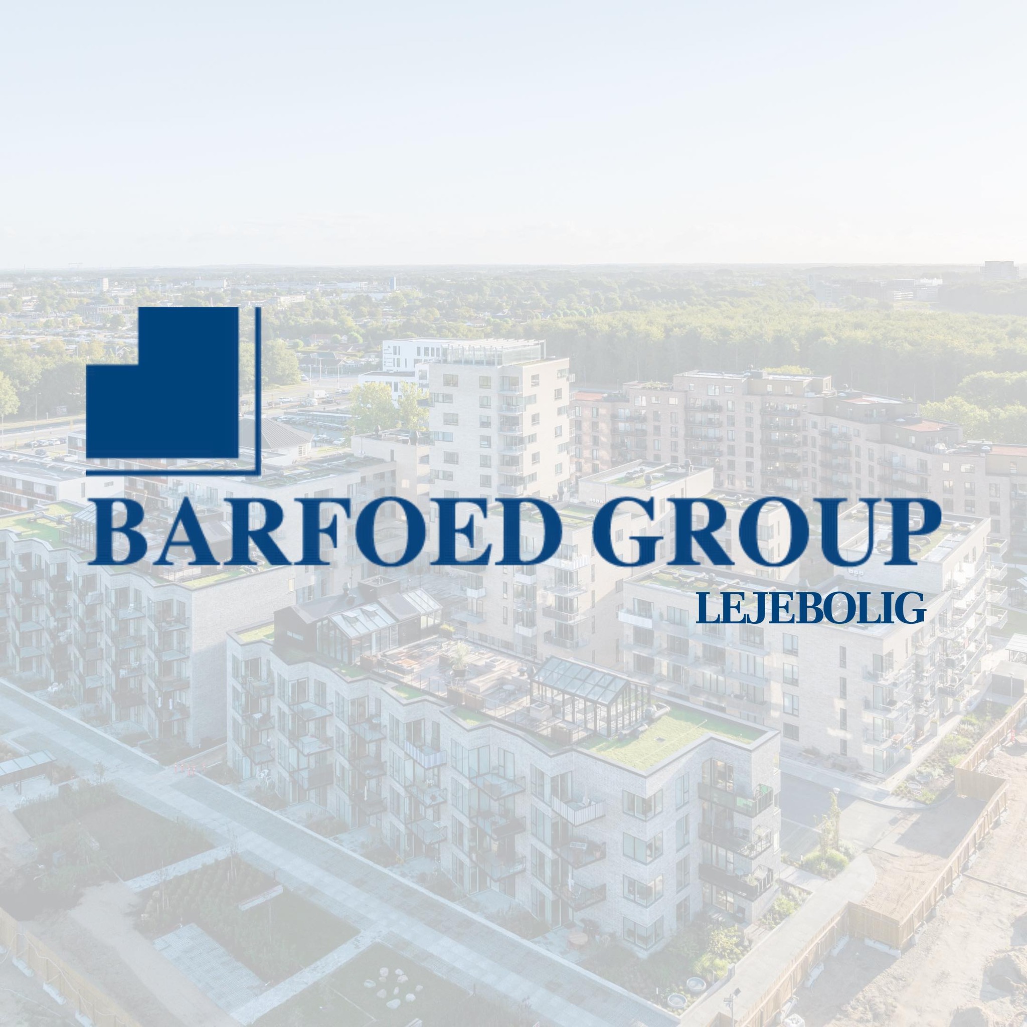 Barfoed Group