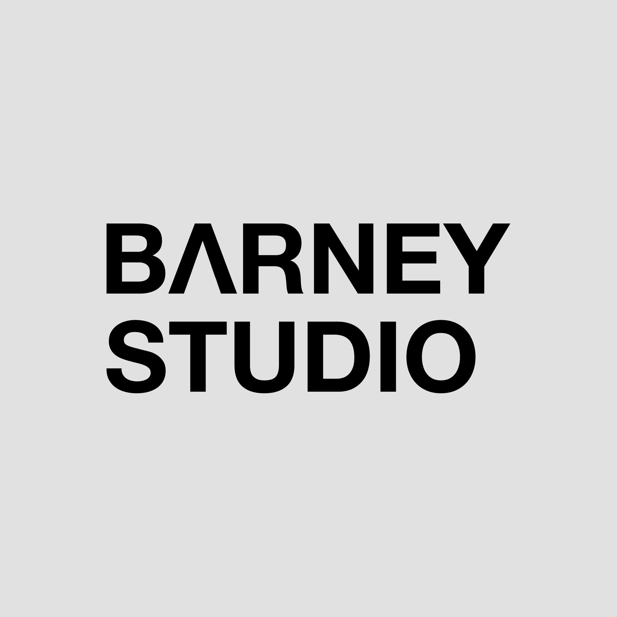 Barney studio