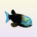 Barreleye