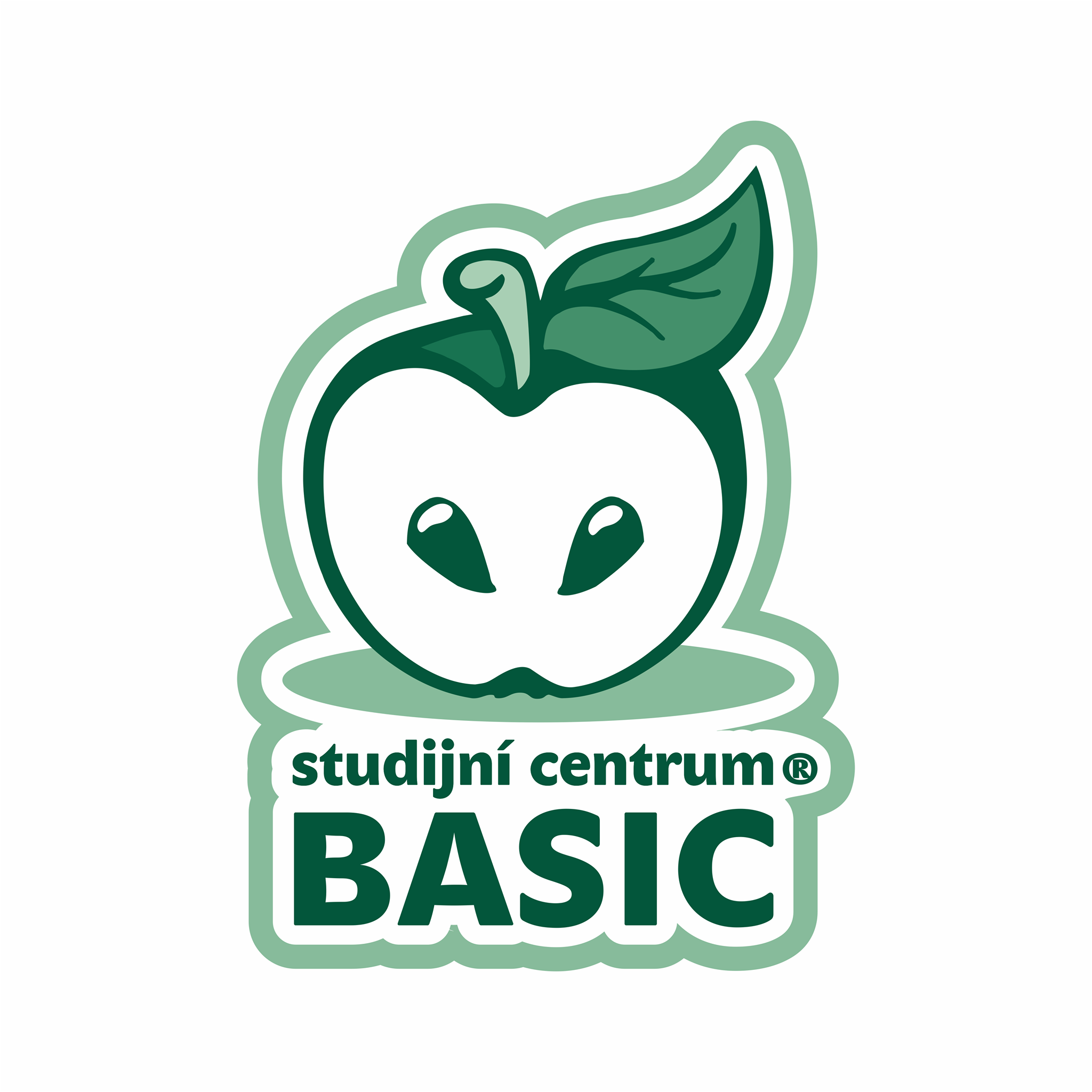 Studijn centrum BASIC