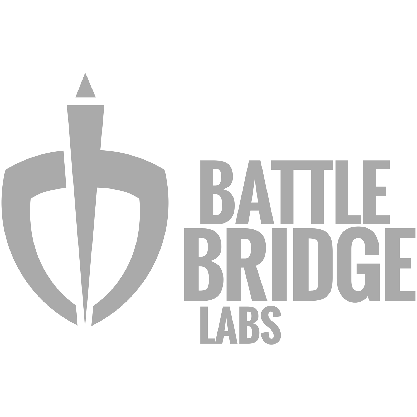 Battle Bridge Labs