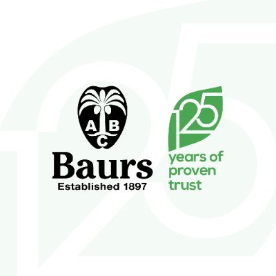 BAURS AIR SERVICES