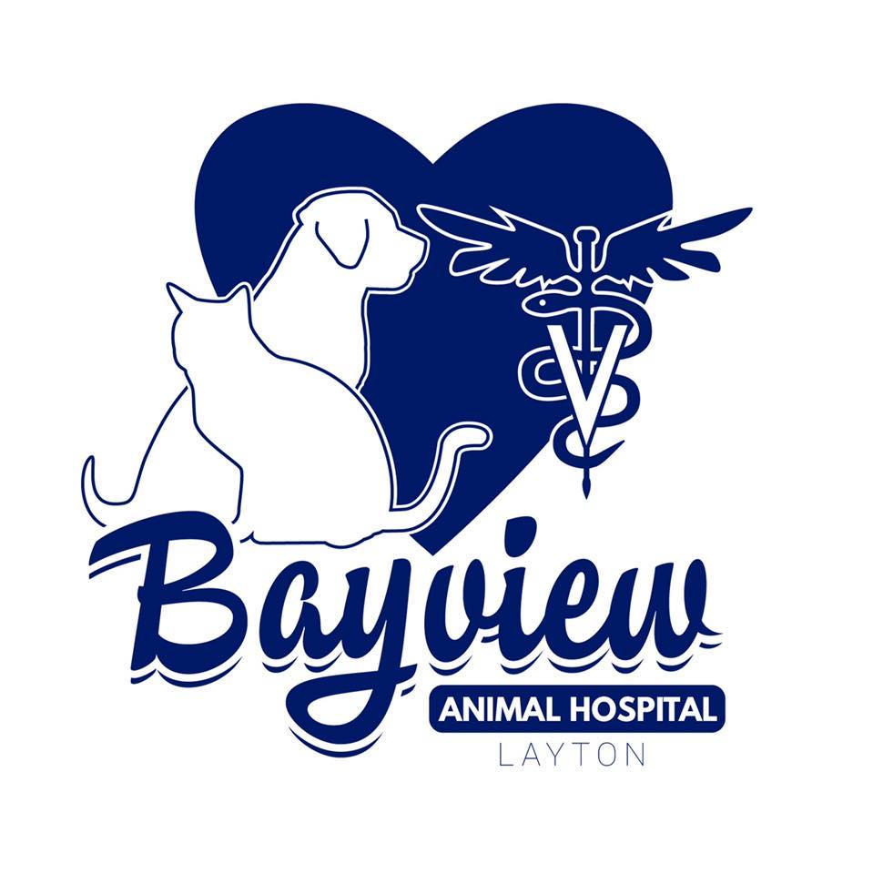 Bayview Animal Hospital