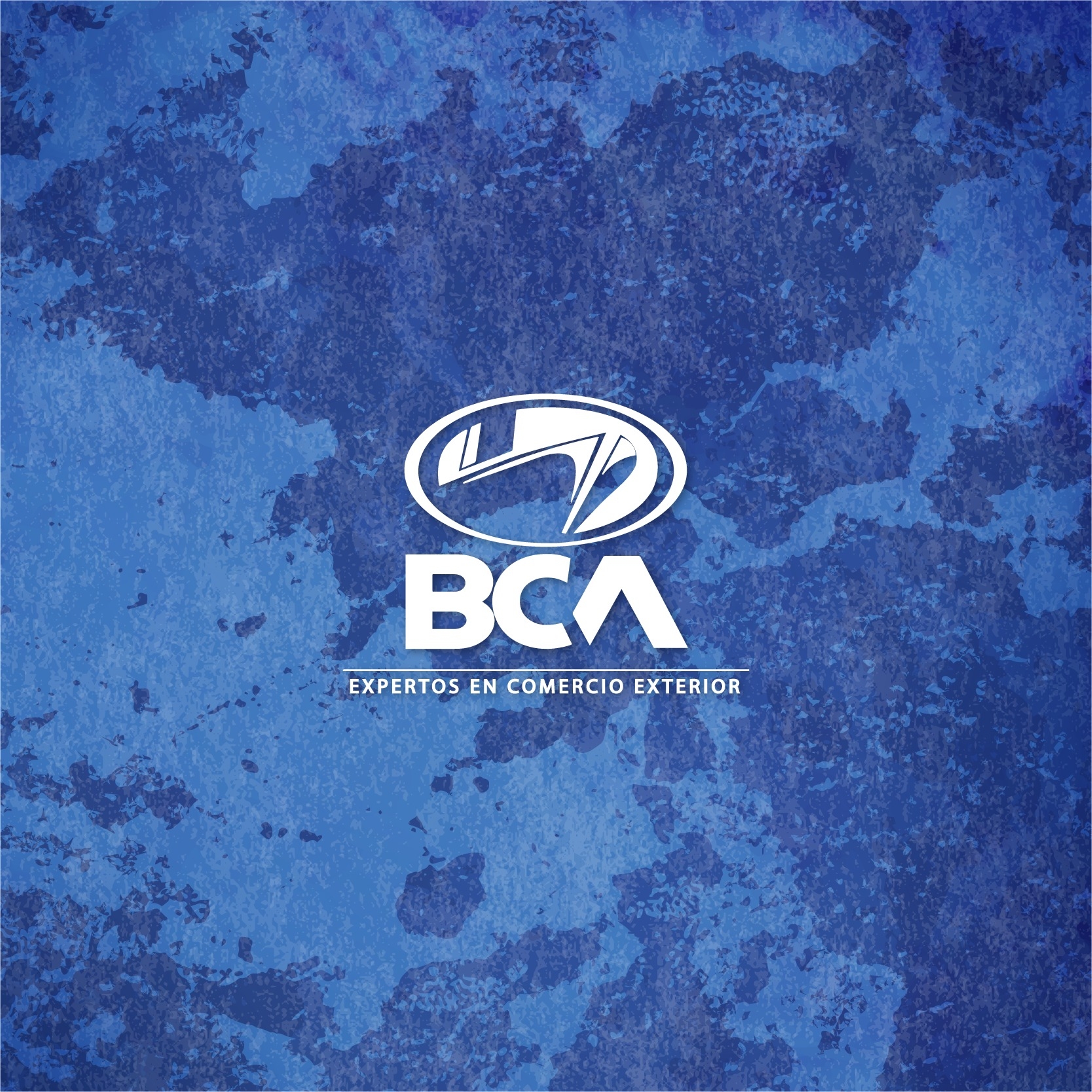 Bca Custom & Logistics Services