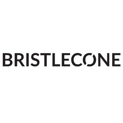 Bristlecone