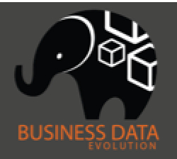 Business Data Evolution