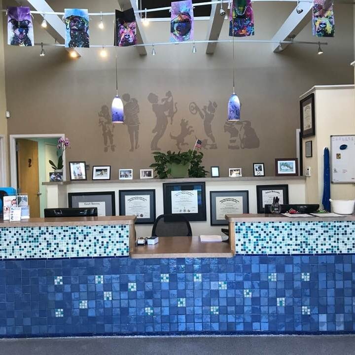 Beach Pet Hospital