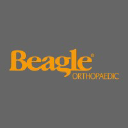 Beagle Orthopaedic