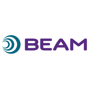 Beam Vacuum Systems