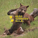 Bear Country USA