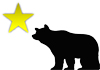 Bear Star Co