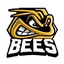 TSI WORLD BEES ICE HOCKEY CLUB