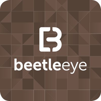 Beetle Eye Llc