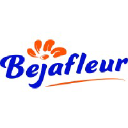 Bejafleur B.V.