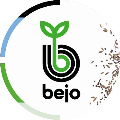 Bejo Seeds