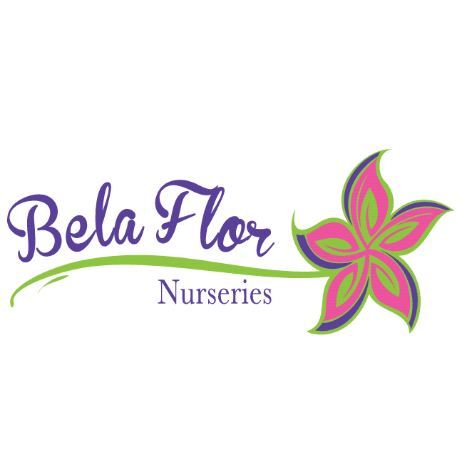 Bela Flor Nurseries