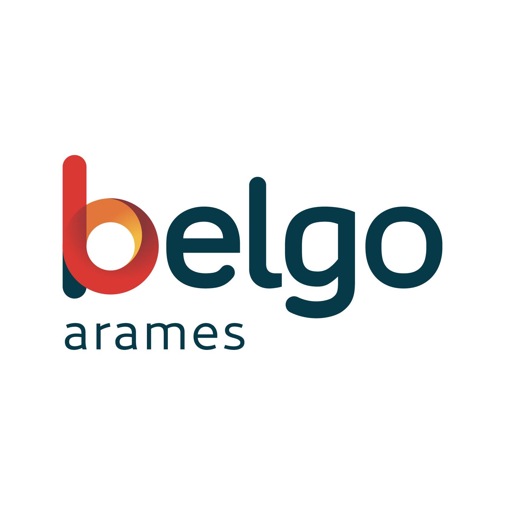 Belgo Bekaert Arames