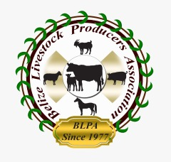 Belize Livestock Producers Association