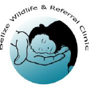 Belize Wildlife & Referral Clinic