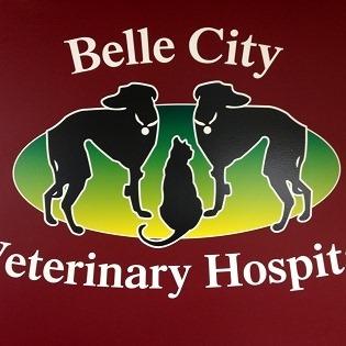 Belle City Veterinary Hospital