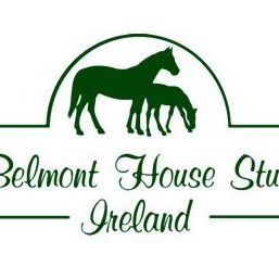 Belmont House Stud