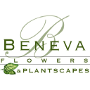 Beneva Flowers