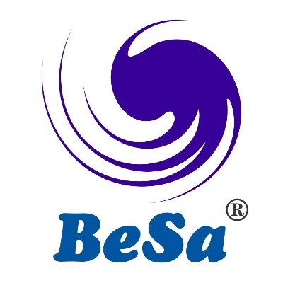 BeSa Consulting