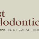 Best Endodontics