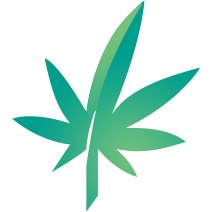 Bestmarijuanaguide.Com