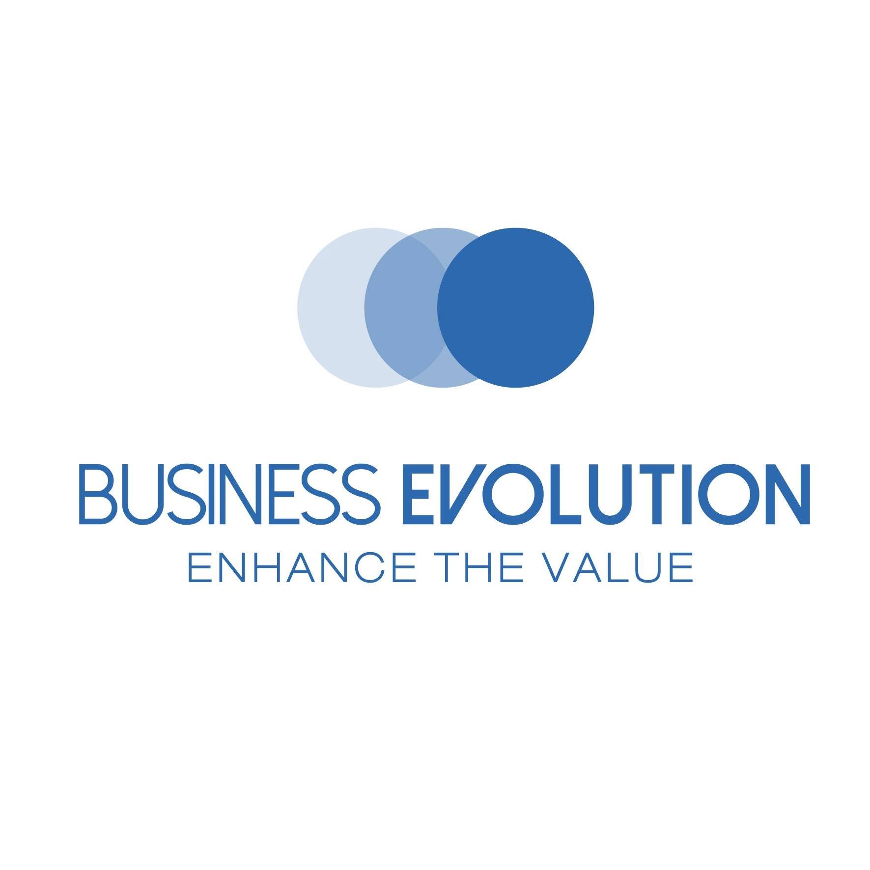Llc “Business Evolution”