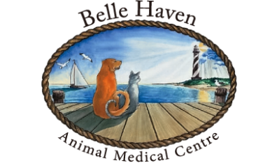 Belle Haven Animal Medical Centre