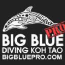 Big Blue Pro