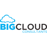 Big Cloud Consultants