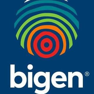 Bigen Group