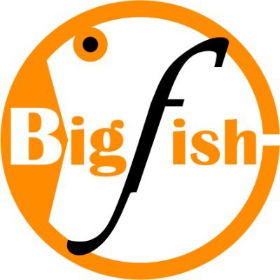 BIGFISH ENTERPRISE