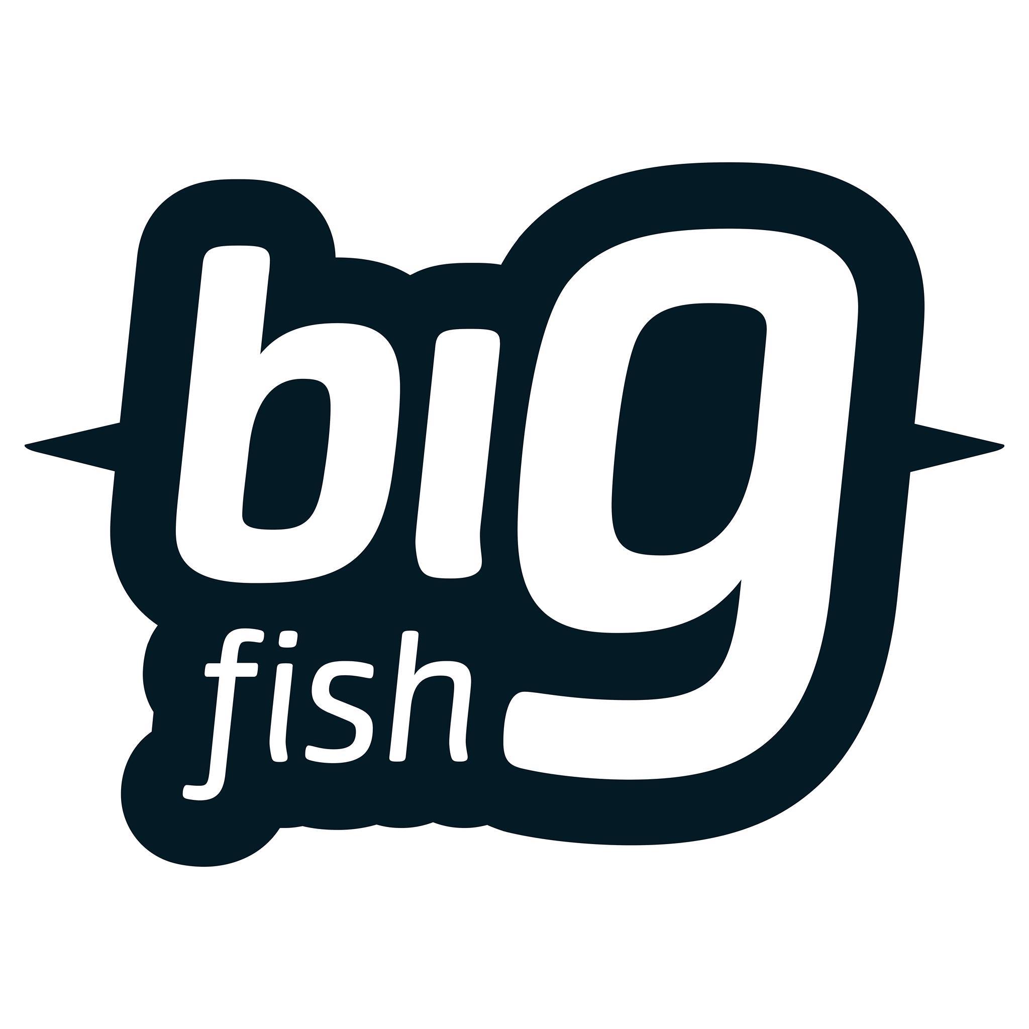 Big Fish Internet Technology Ltd.